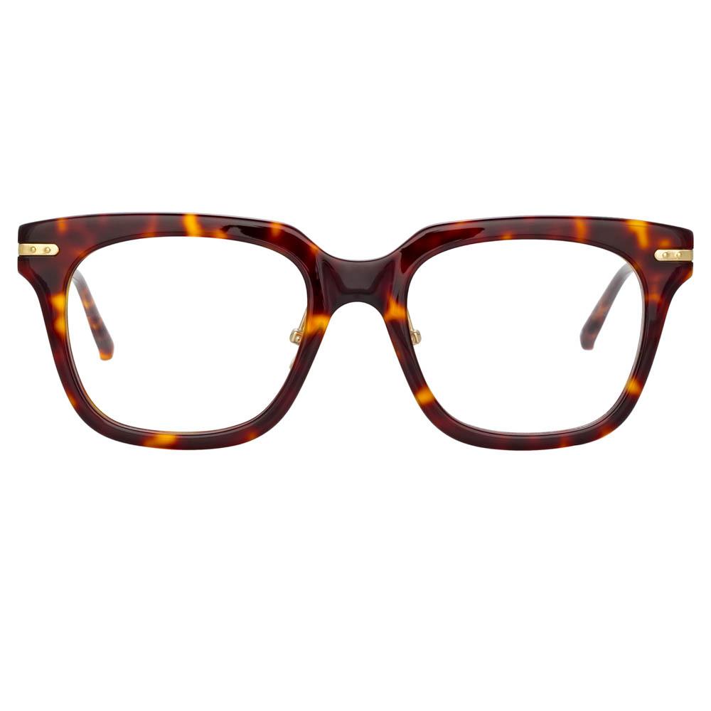 Color_LF28C2OPT - Empire Optical D-Frame in Tortoiseshell