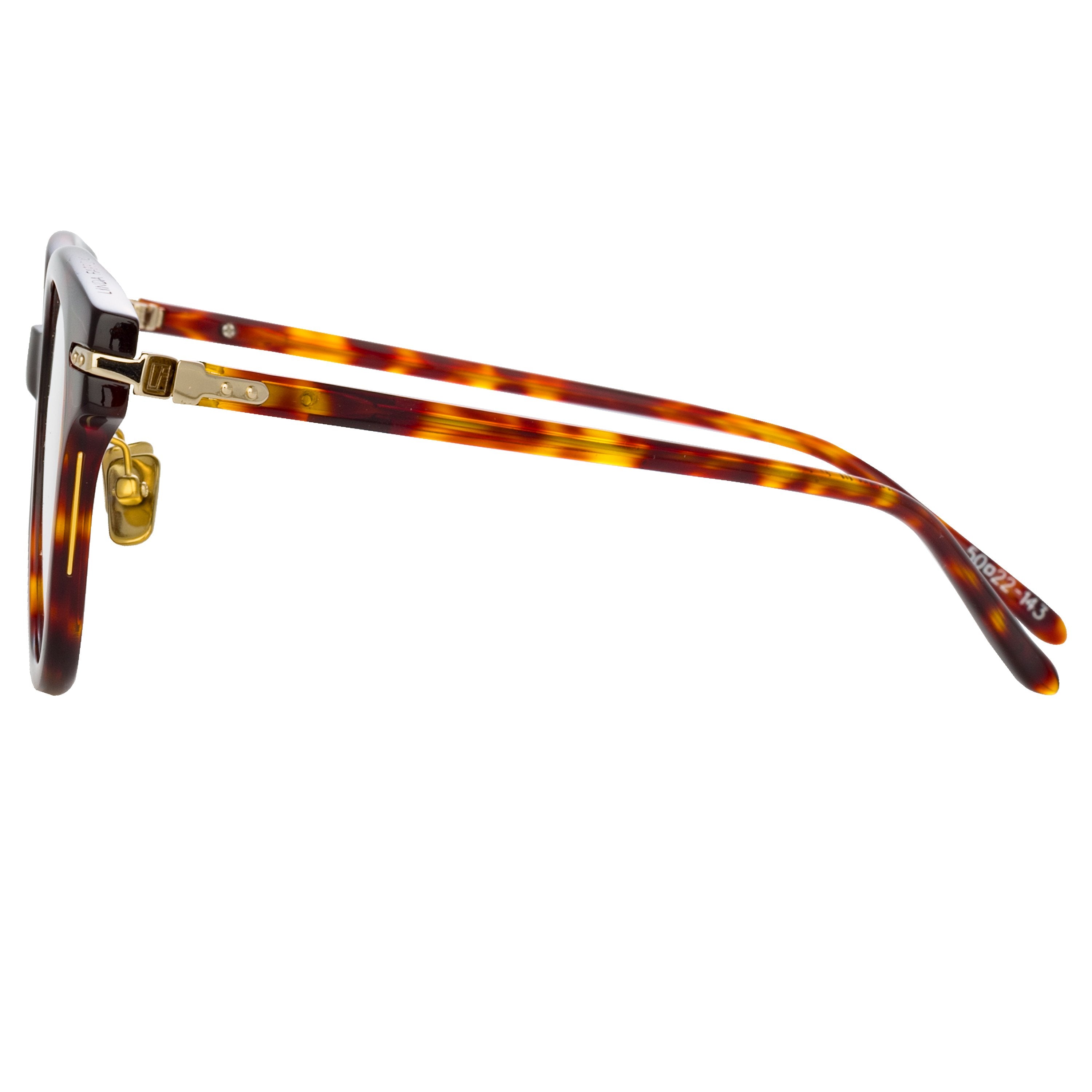 Color_LF42C2OPT - Atkins Optical D-Frame in Tortoiseshell