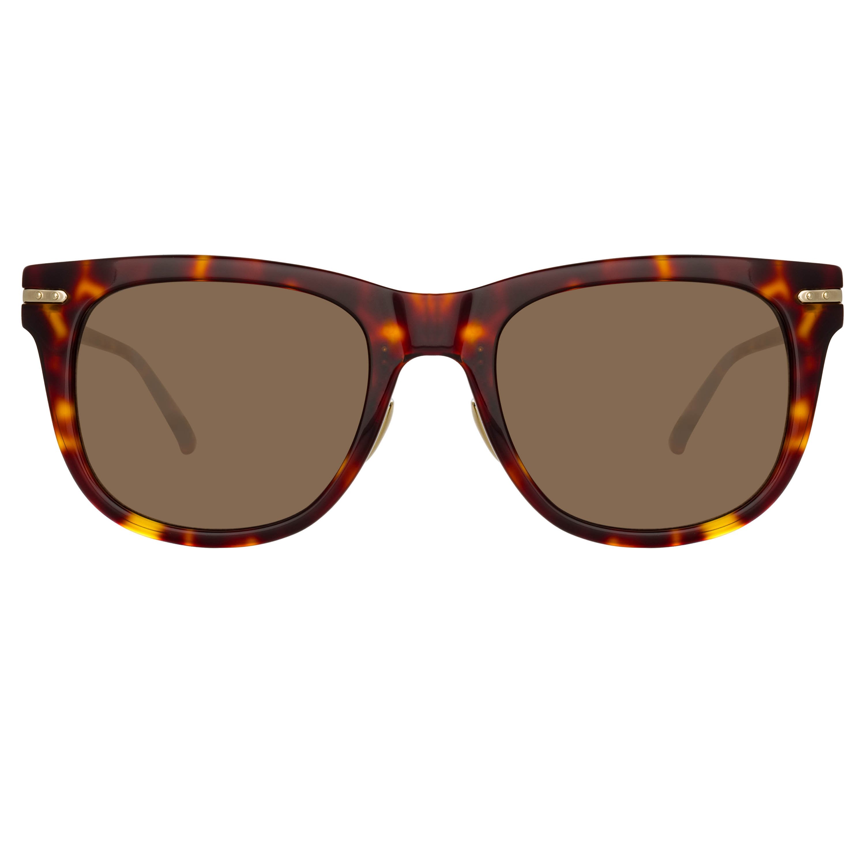 Color_LF43C5SUN - Chrysler D-Frame Sunglasses in Tortoiseshell