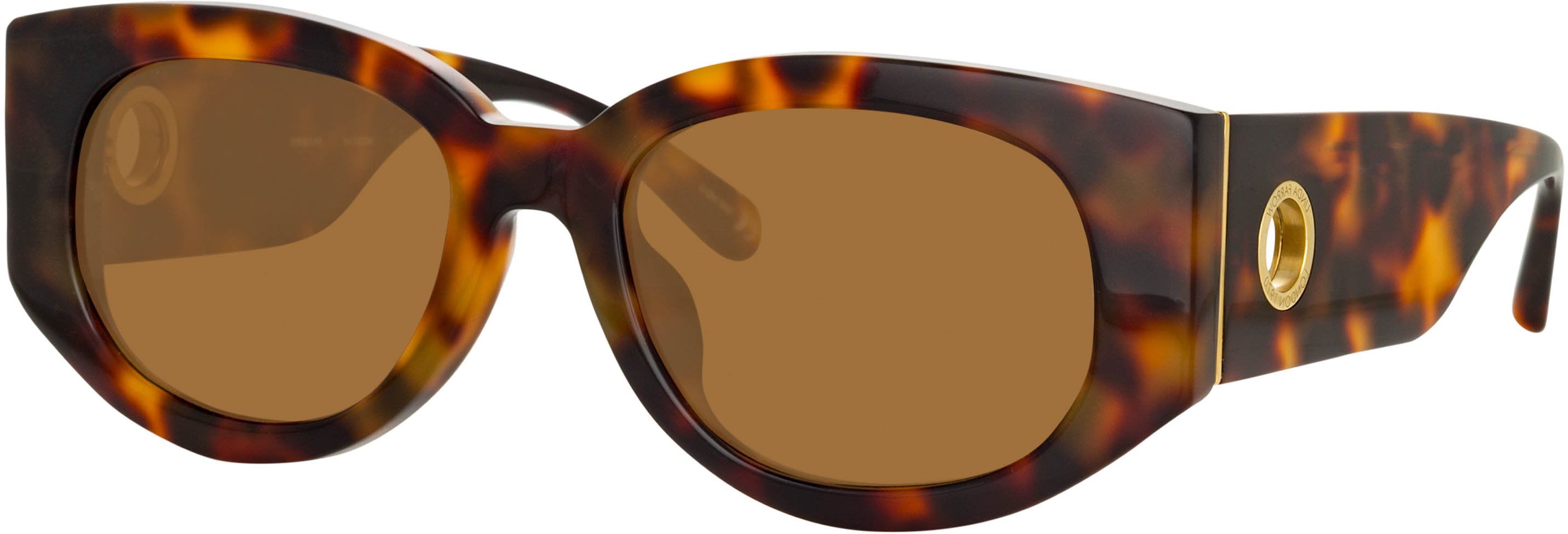 Color_LFL1059C2SUN - Debbie D-Frame Sunglasses in Tortoiseshell