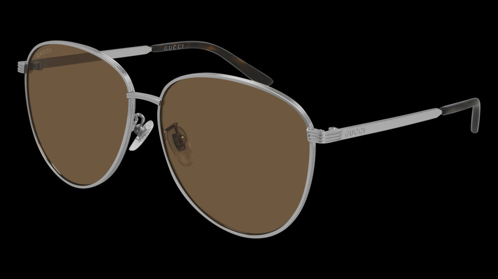 Color_GG0945SA-003 - SILVER - BROWN