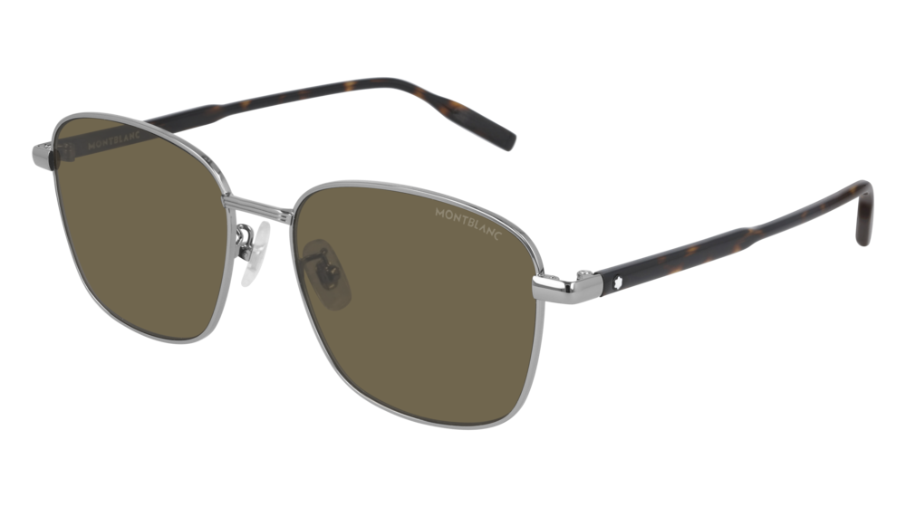 Color_MB0137SK-004 - RUTHENIUM - BROWN