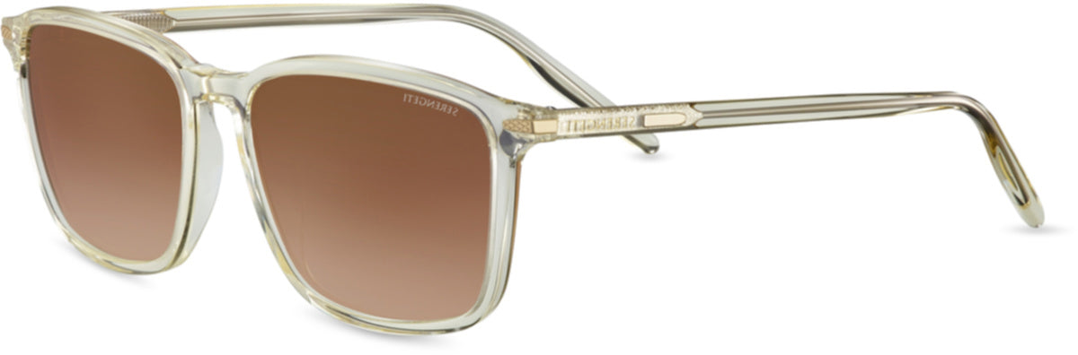 Color_SS485001 - Champagne Translucide AB2749 - Mineral Polarized Drivers Gradient Cat 2 to 3