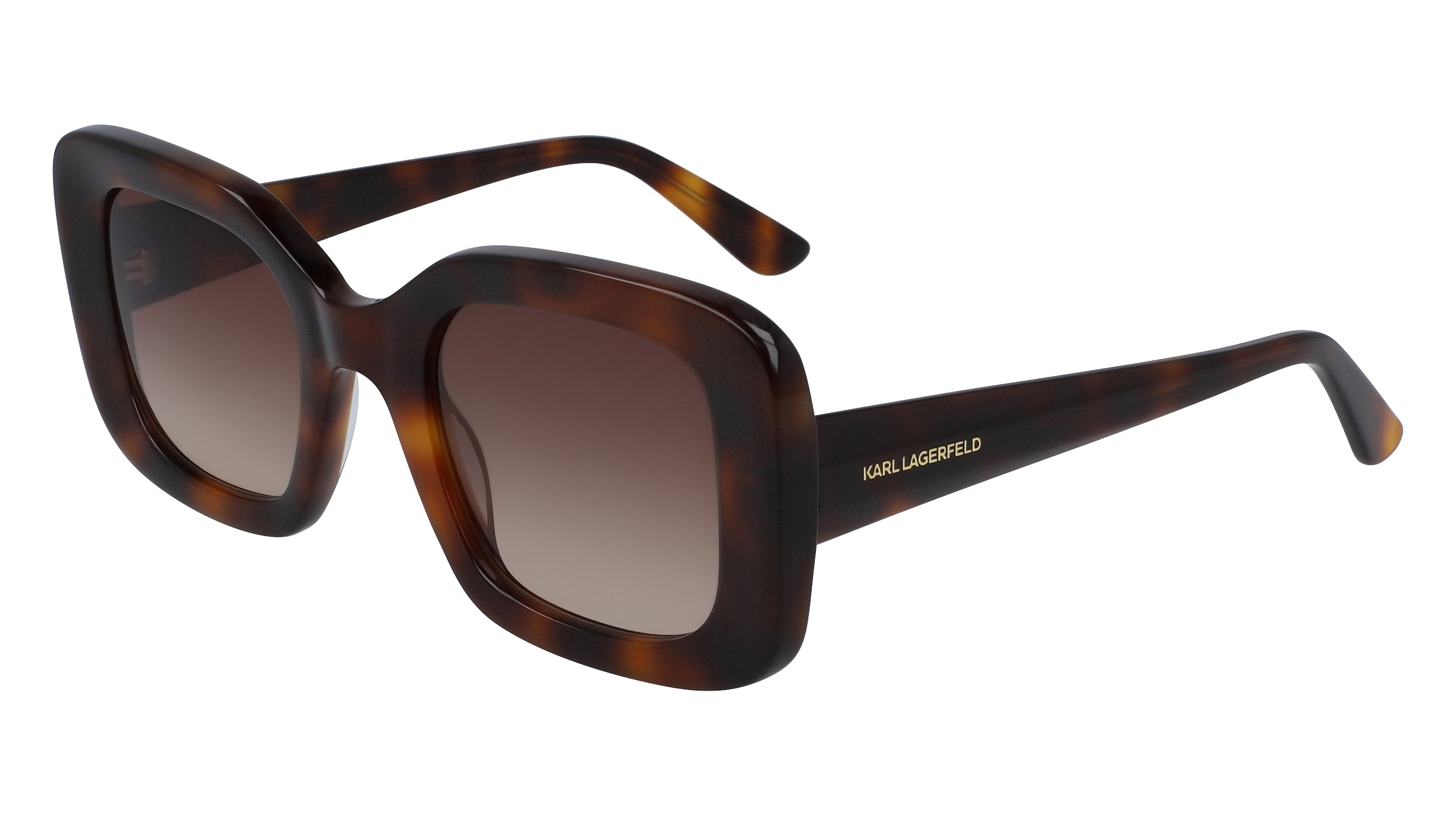 Color_213 - BLONDE TORTOISE