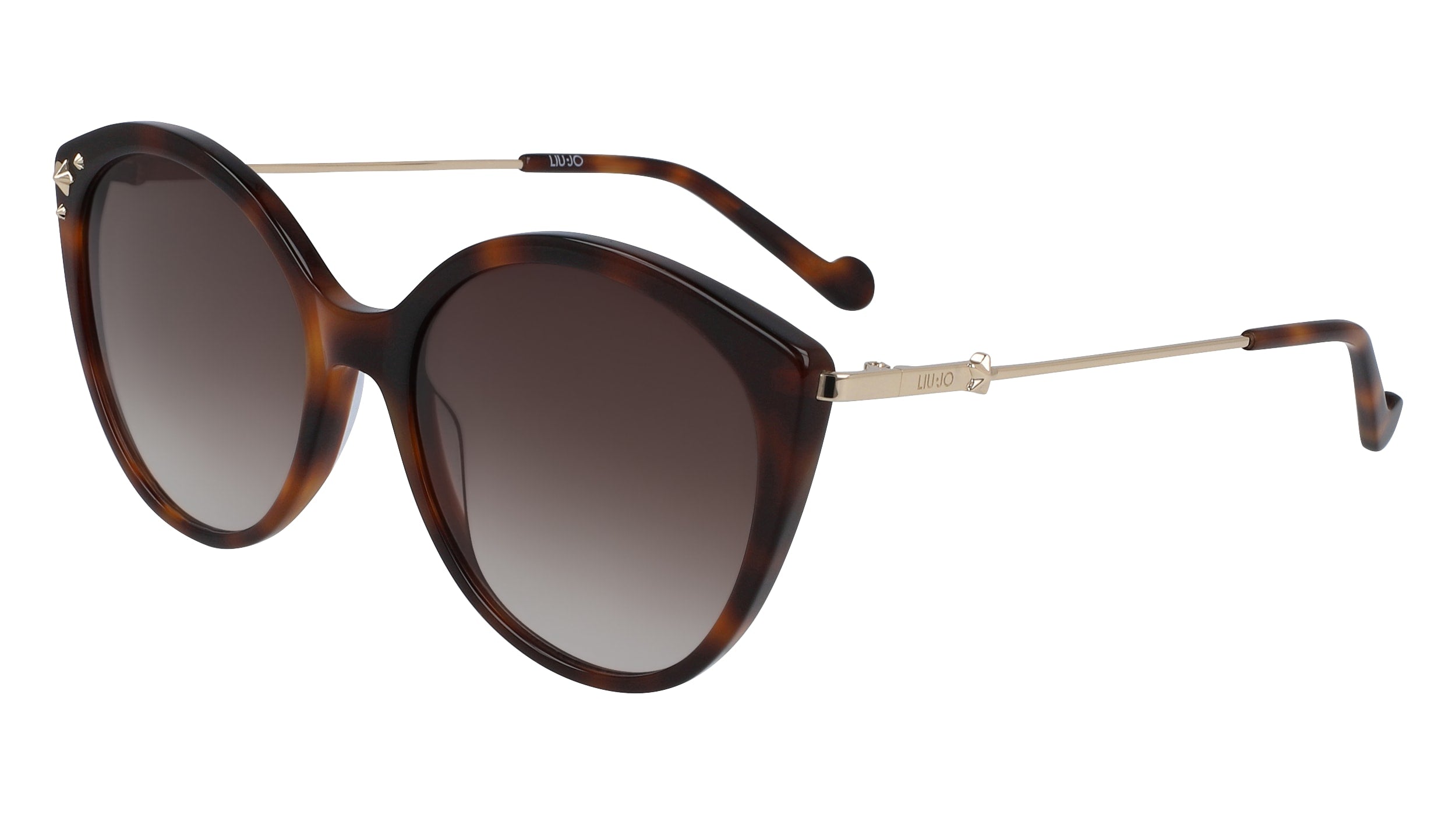 Color_215 - TORTOISE