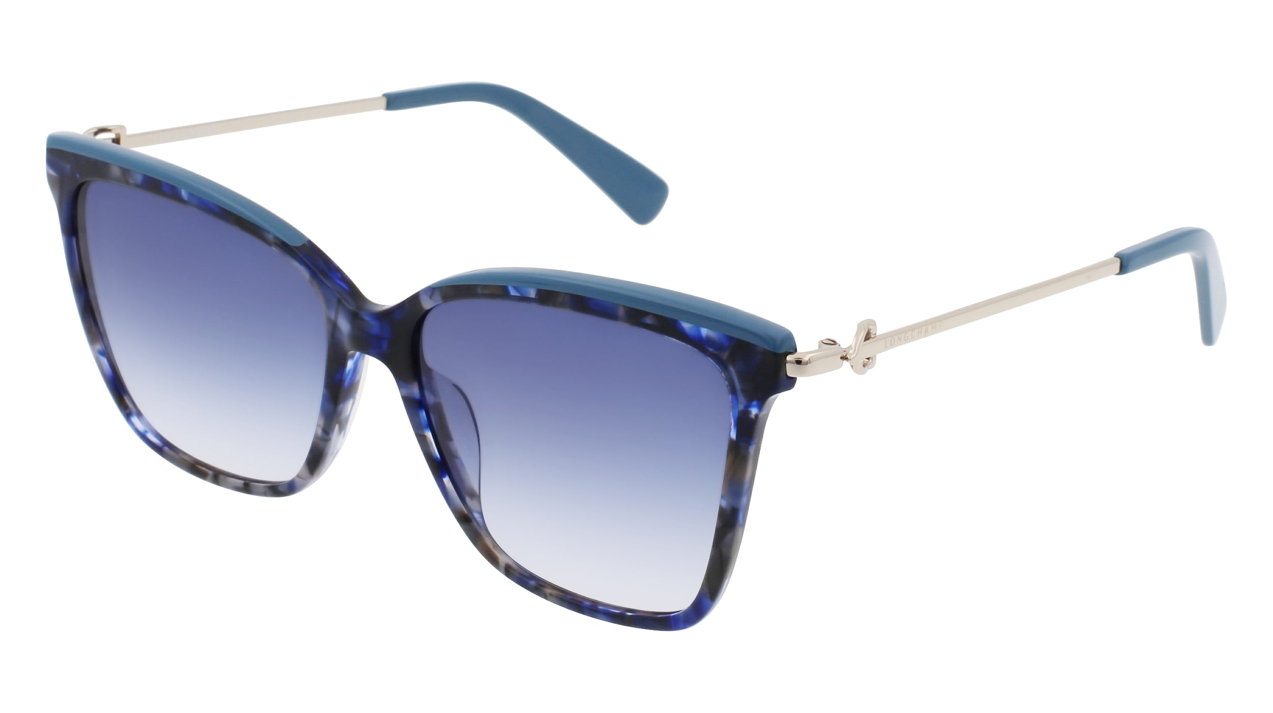 Color_420 - BLUE TORTOISE