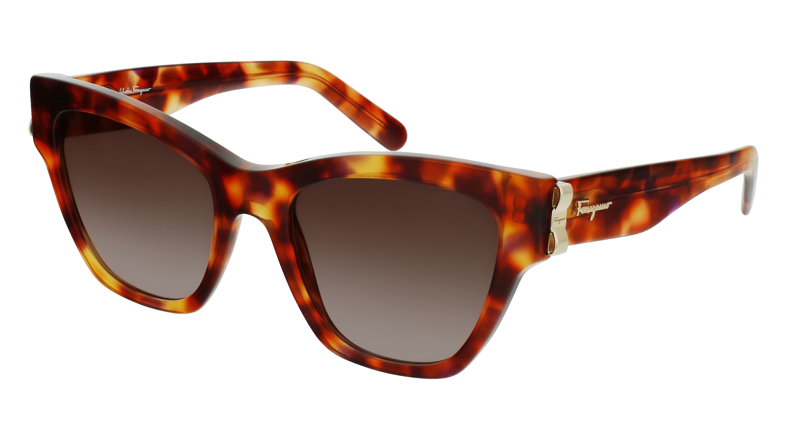 Color_214 - TORTOISE