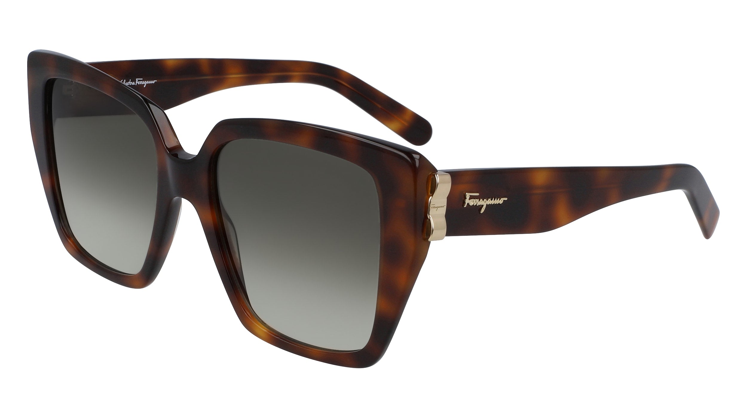 Color_214 - TORTOISE