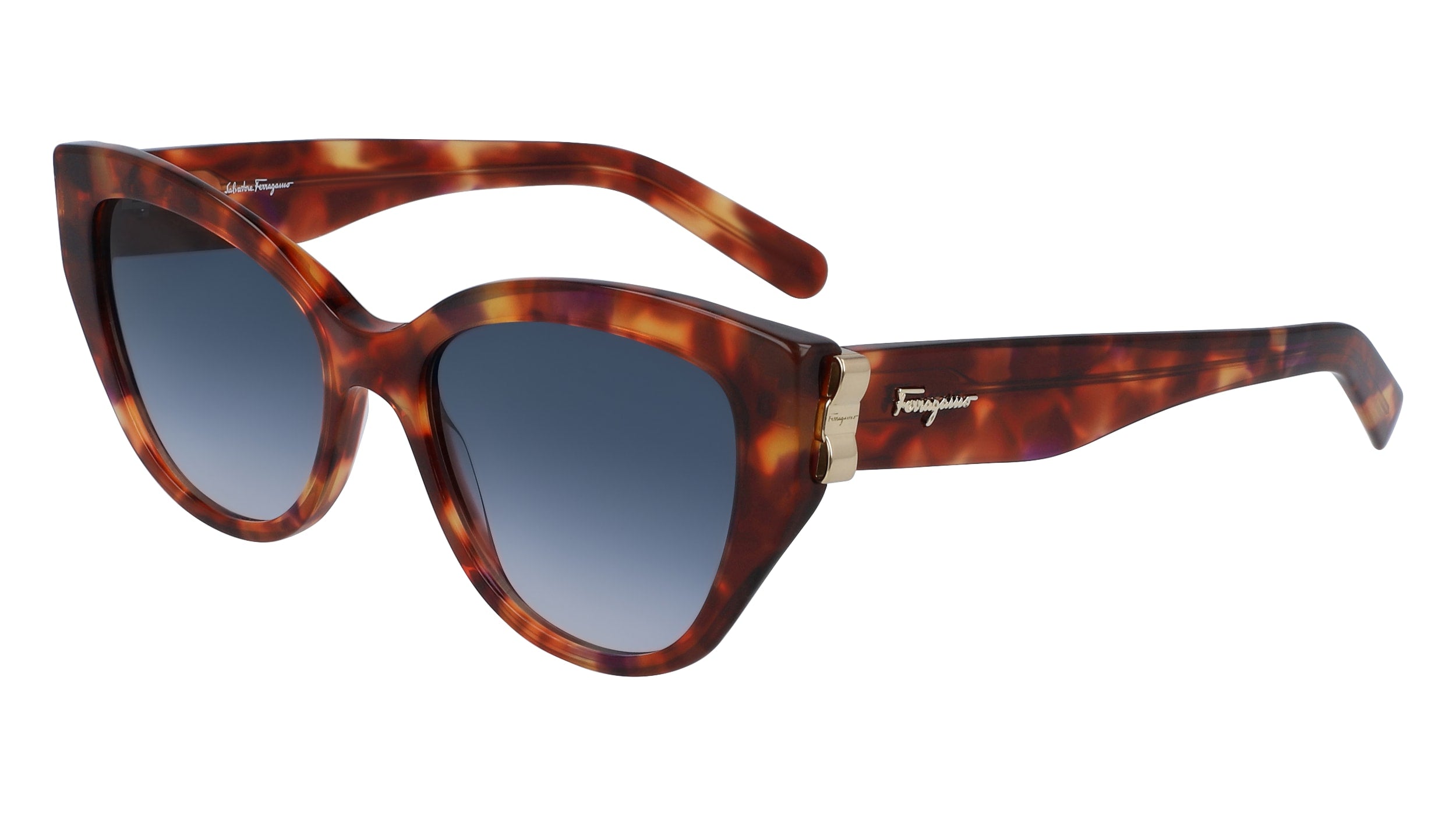 Color_609 - RED TORTOISE