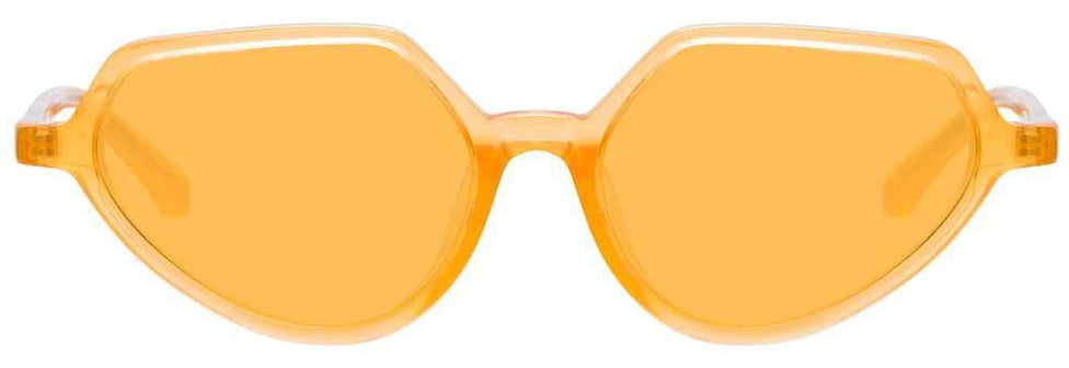 Color_DVN178C9SUN - Dries Van Noten 178 Cat Eye Sunglasses in Orange and Orange