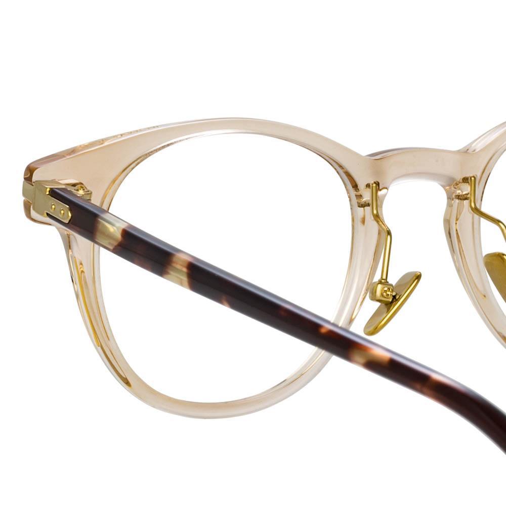 Color_LF25C11OPT - Bay Optical D-Frame in Brown