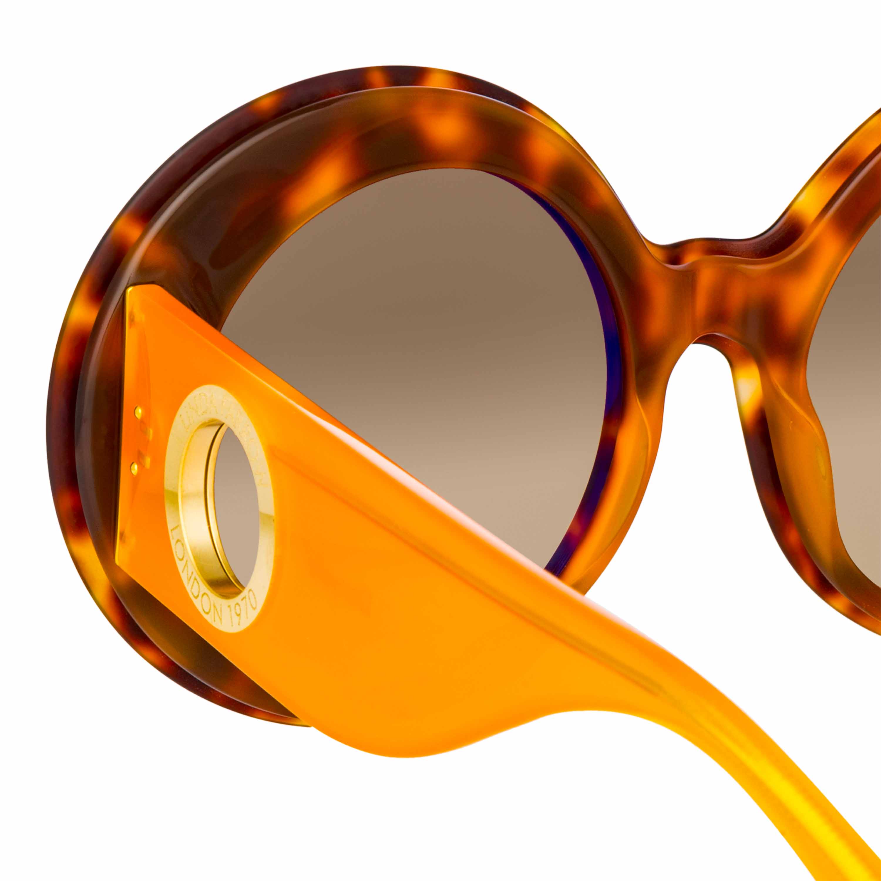 Color_LFL1120C3SUN - Donyale Oversized Sunglasses in Tortoiseshell