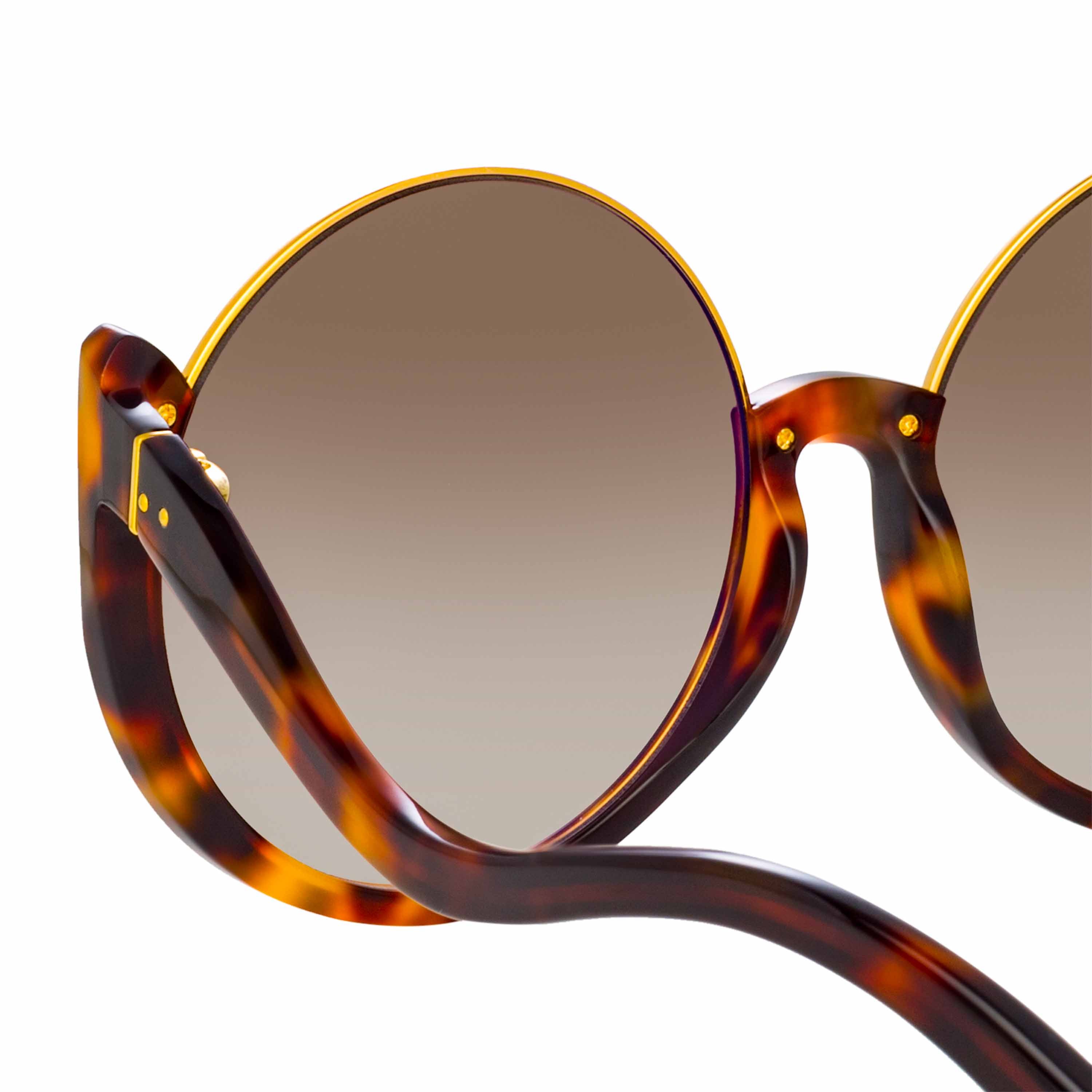 Color_LFL1167C2SUN - Florence Round Sunglasses in Tortoiseshell