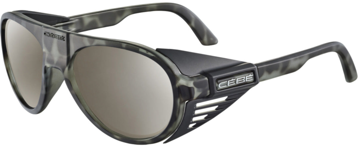 Color_CS32504 - Translucent Dark Shark Tortoise - Zone Polarized Brown Cat.3 Silver