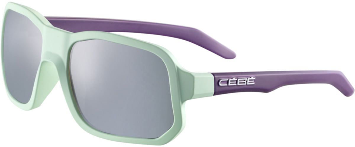 Color_CS32708 - Fresh Jade Orchide Matte - Zone Grey Cat.3 Silver