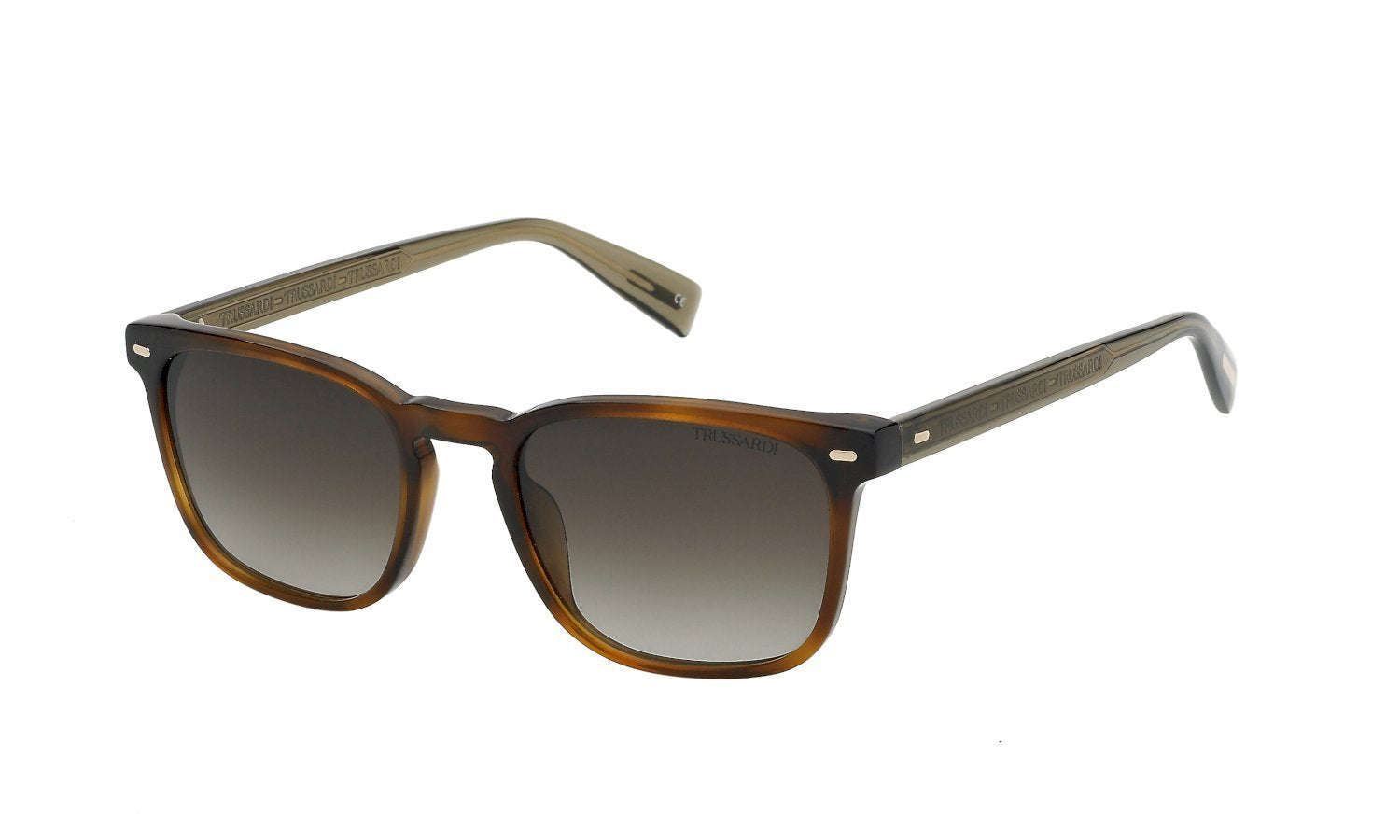 Color_0706 - Shiny Havana