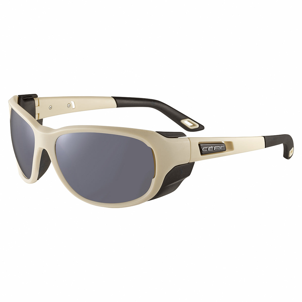 Color_CS03102 - Dune Matte - Zone Brown Cat.4 Silver AF