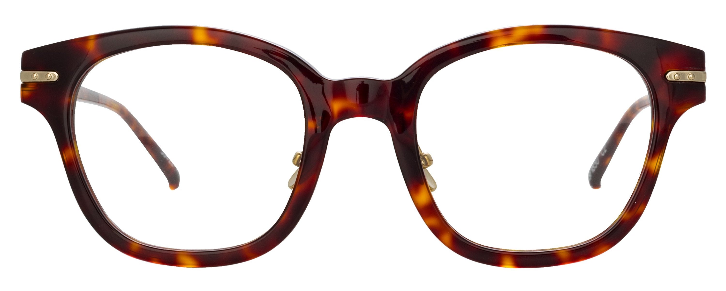 Color_LF42C2OPT - Atkins Optical D-Frame in Tortoiseshell and Clear