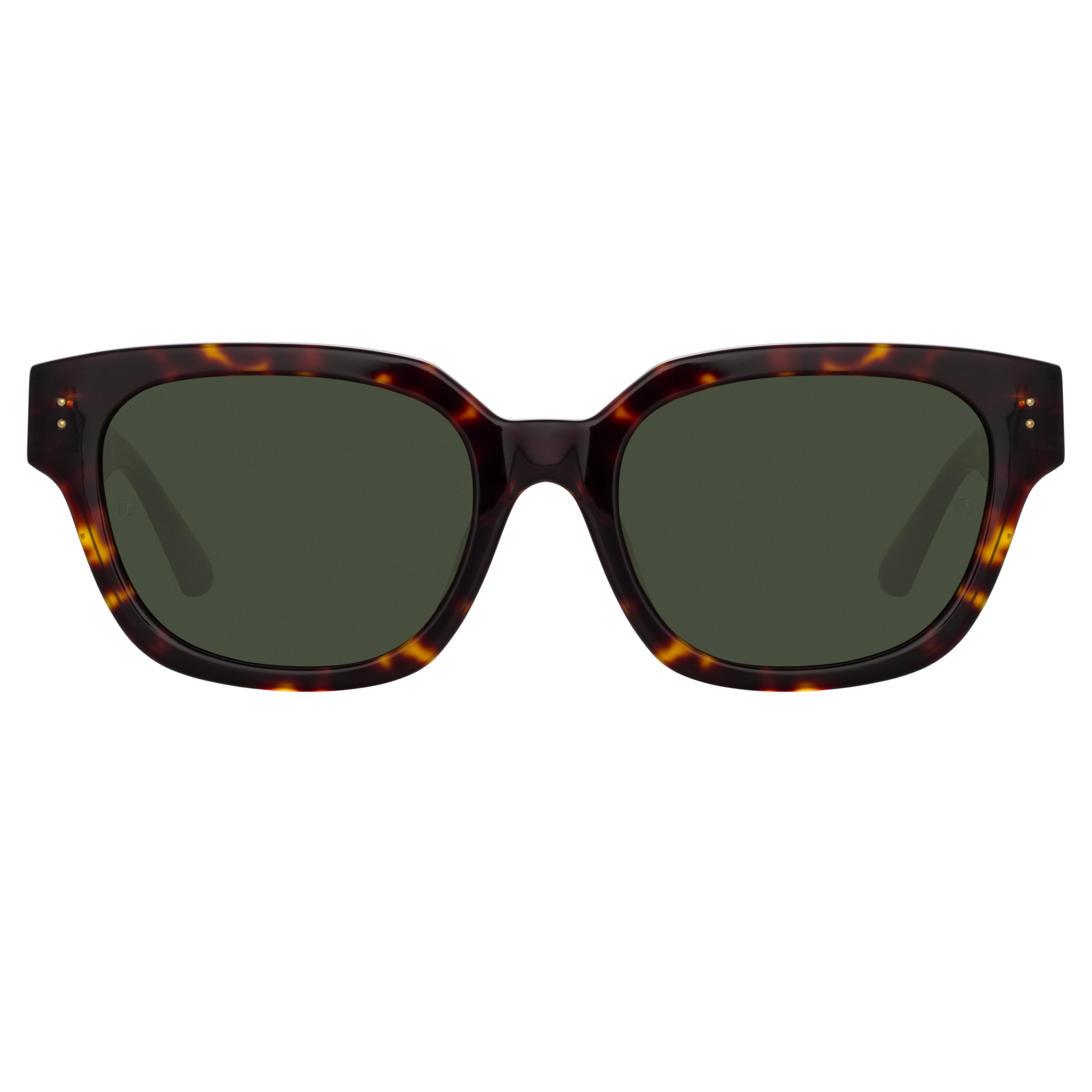 Color_LFL1243C2SUN - Deni D-Frame Sunglasses in Tortoiseshell
