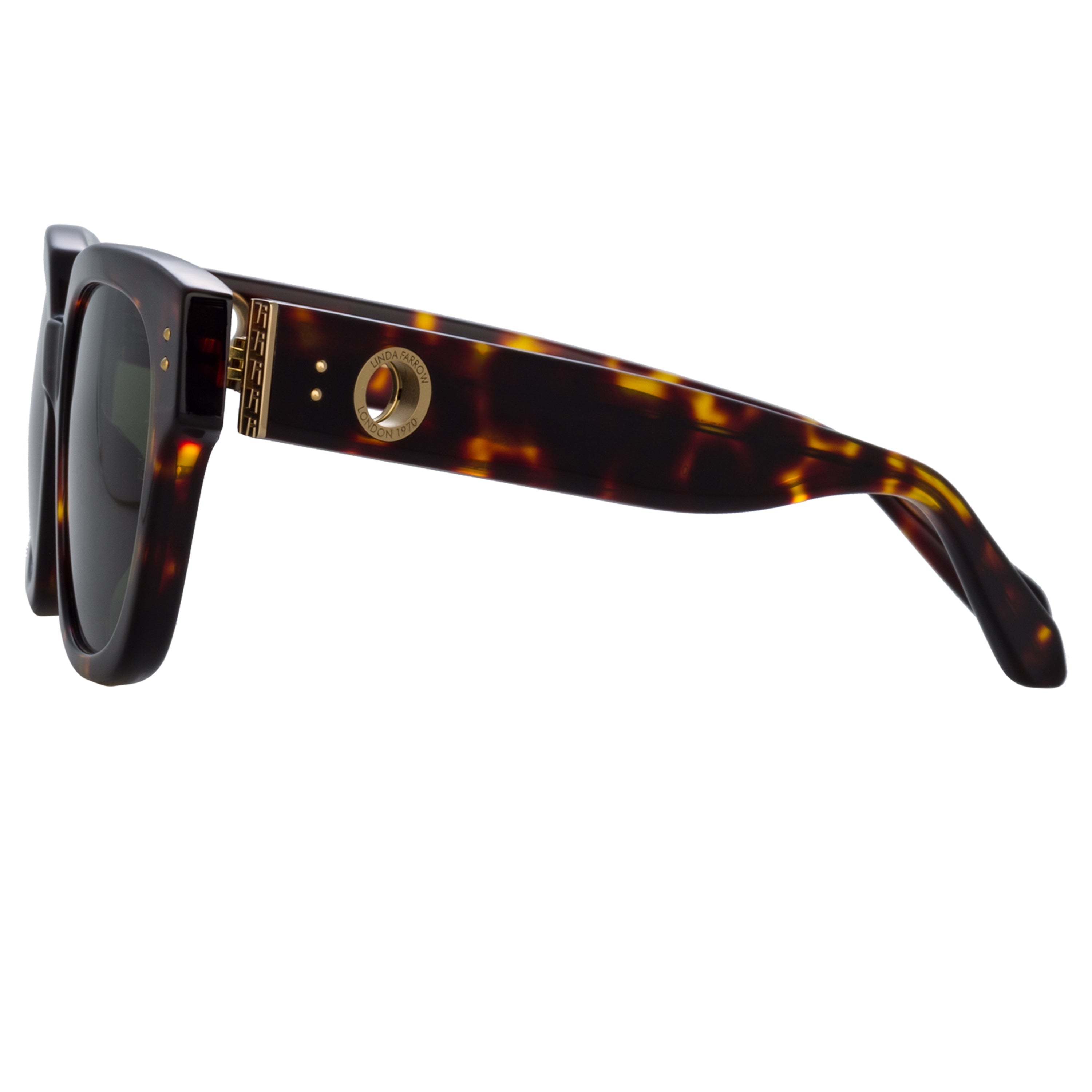 Color_LFL1243C2SUN - Deni D-Frame Sunglasses in Tortoiseshell