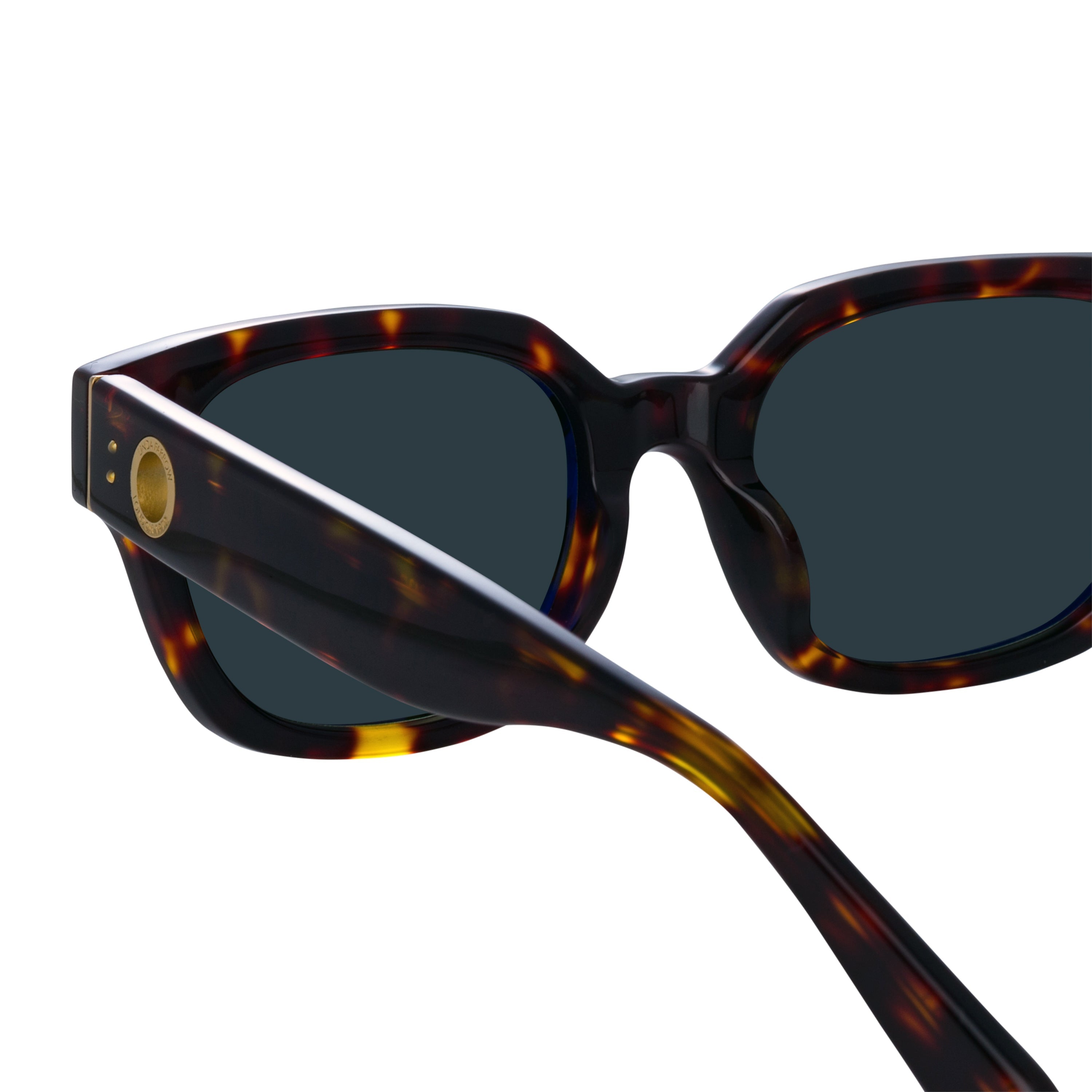 Color_LFL1243C2SUN - Deni D-Frame Sunglasses in Tortoiseshell