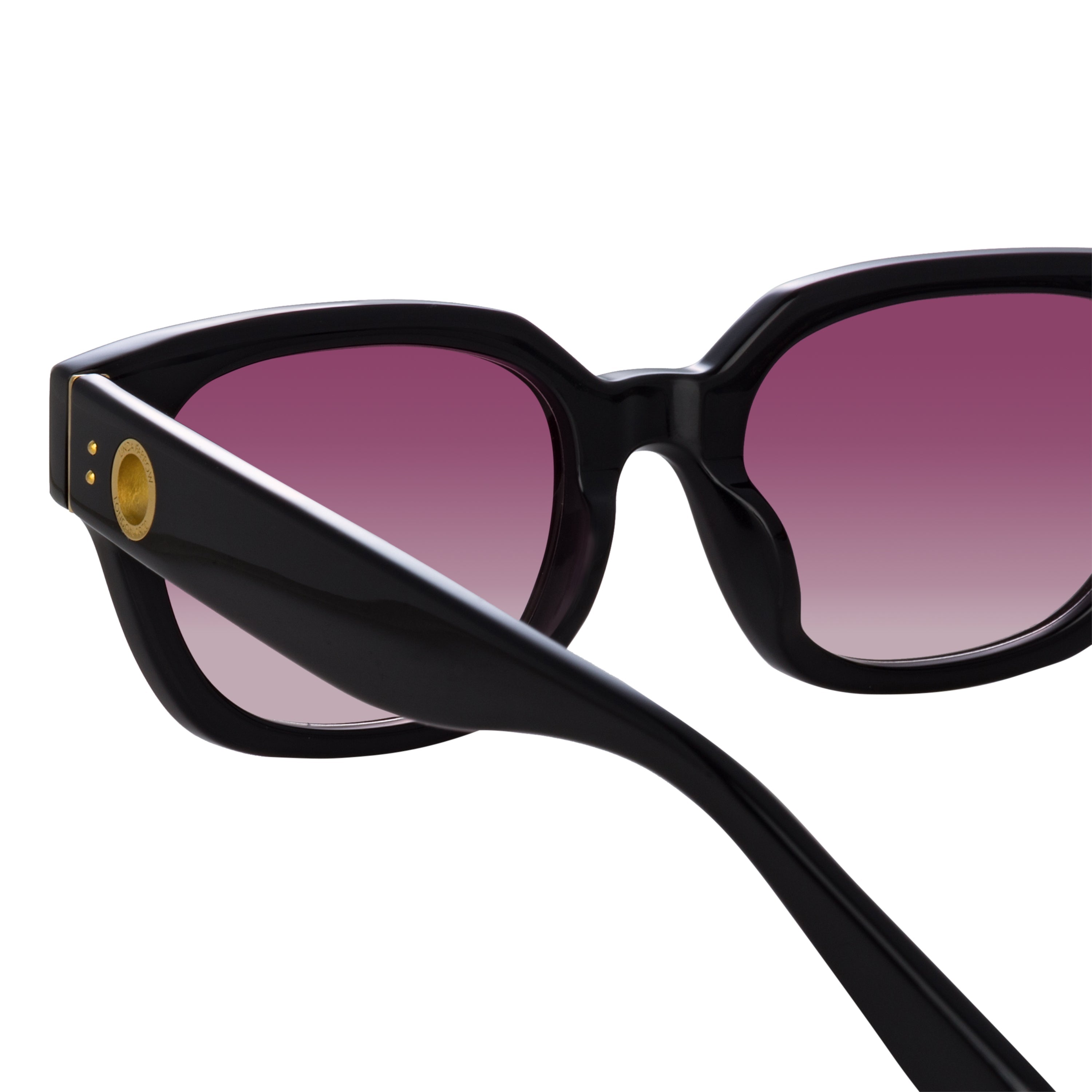 Color_LFL1243C3SUN - Deni D-Frame Sunglasses in Black and Plum Lenses