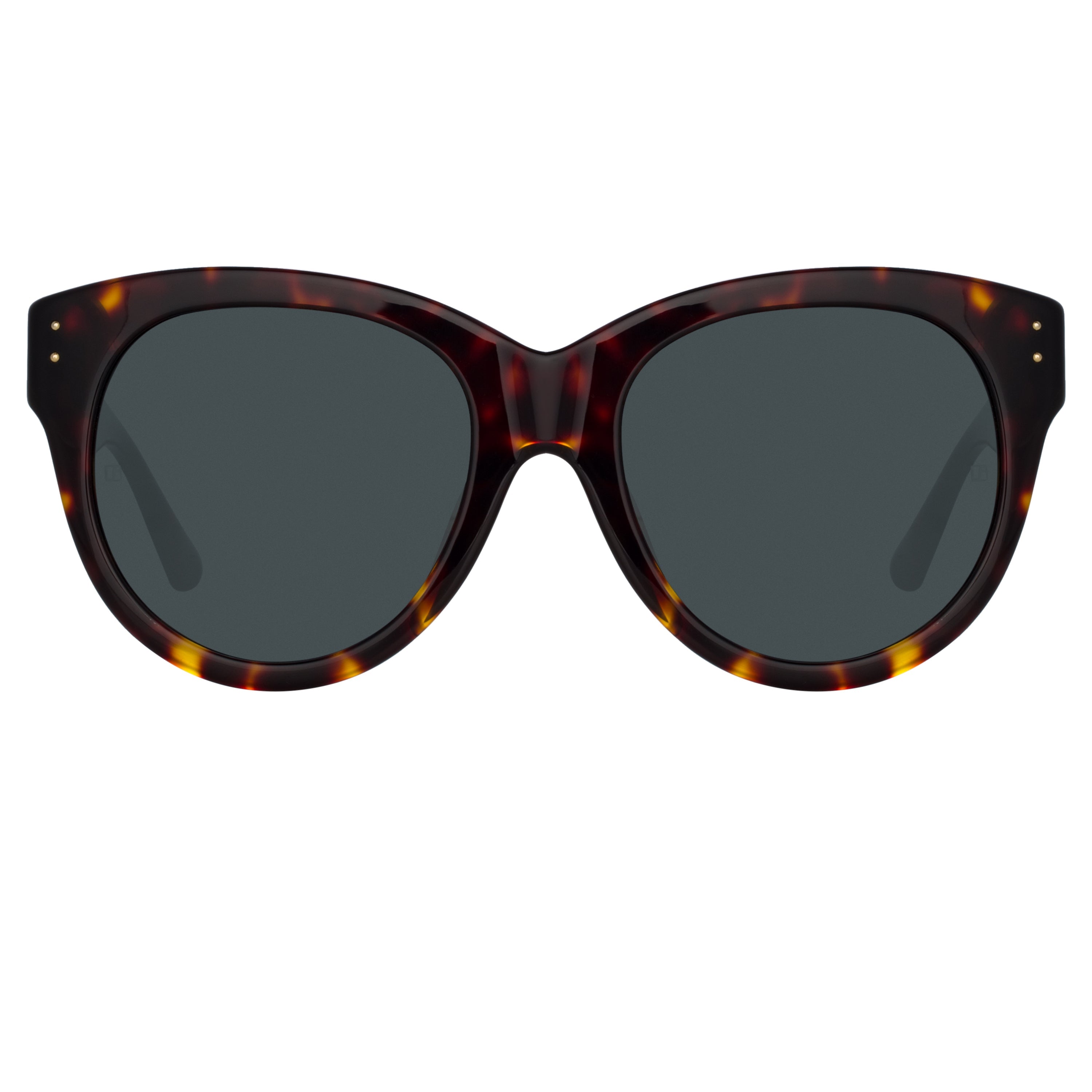 Color_LFL1257C2SUN - Madi Oversized Sunglasses in Tortoiseshell