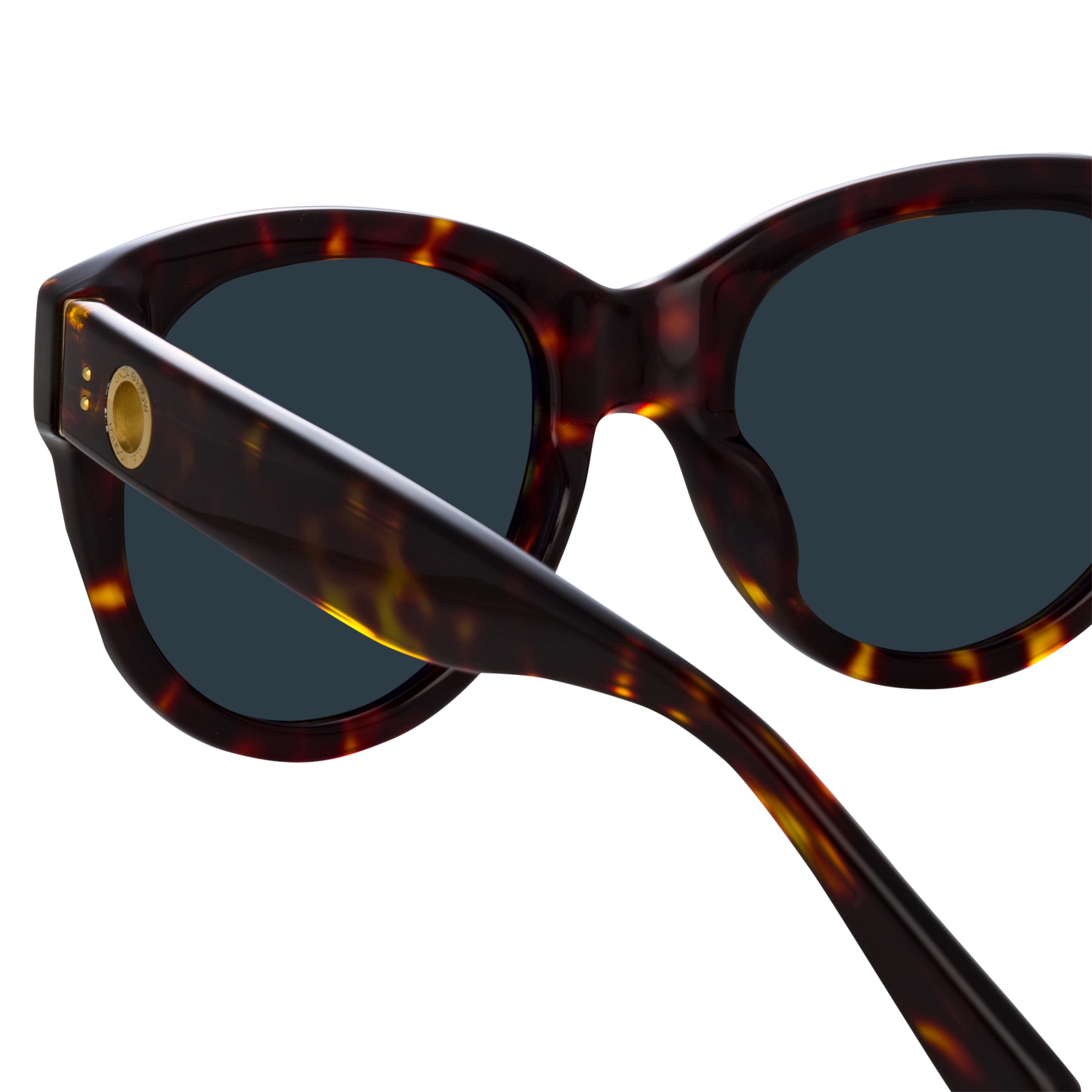 Color_LFL1257C2SUN - Madi Oversized Sunglasses in Tortoiseshell