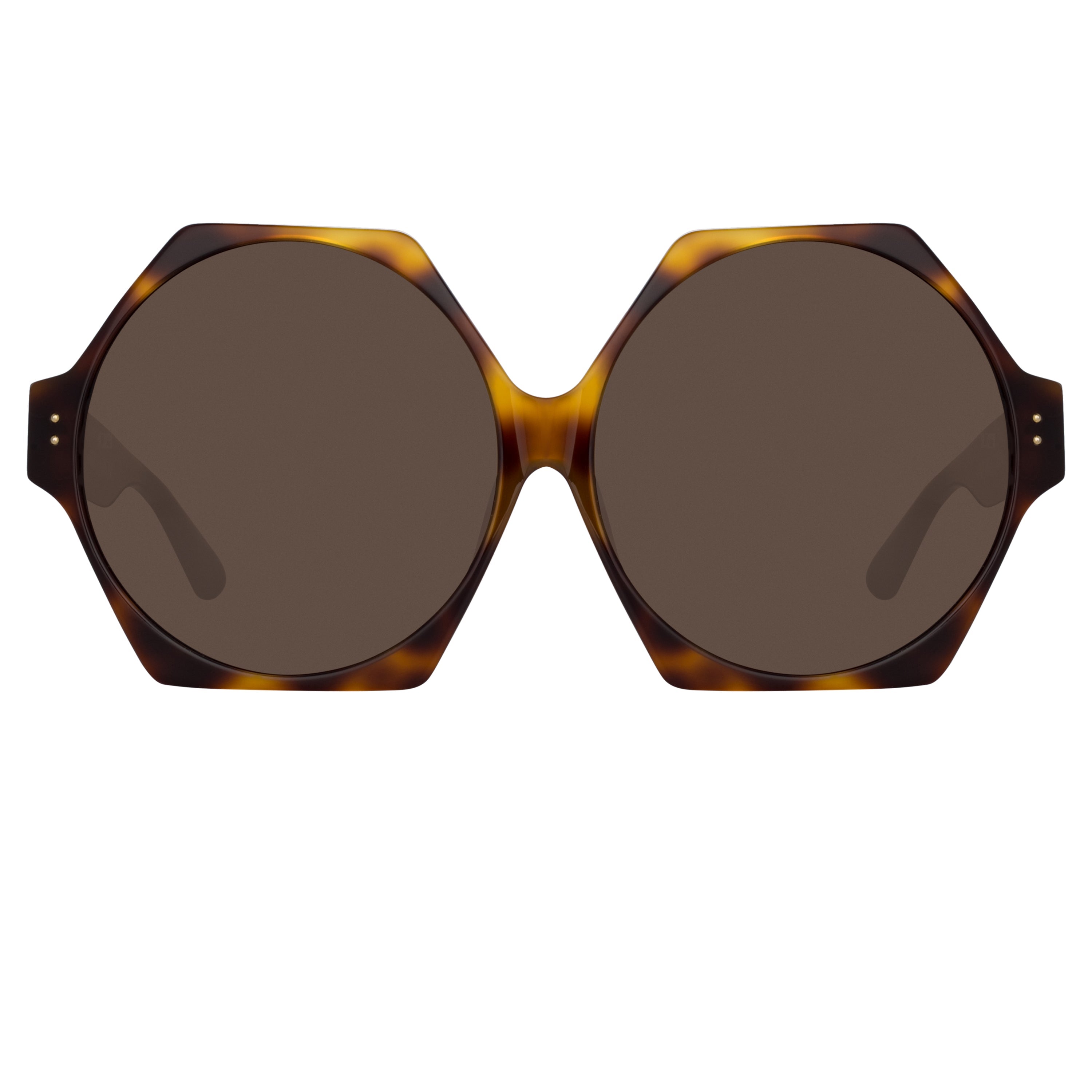 Color_LFL1260C2SUN - Bora Hexagon Sunglasses in Tortoiseshell