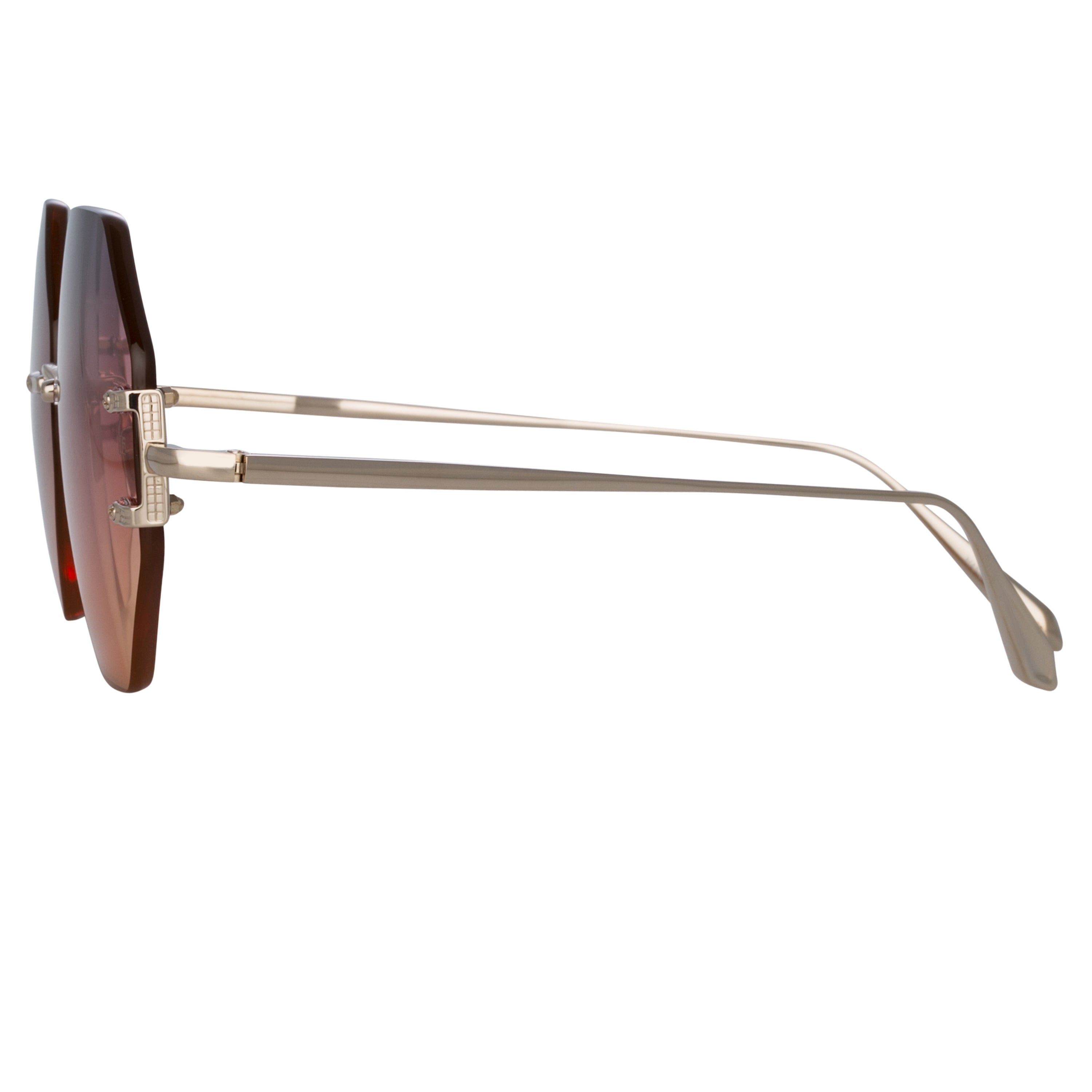 Color_LFL1267C2SUN - Arua Hexagon Sunglasses in Light Gold