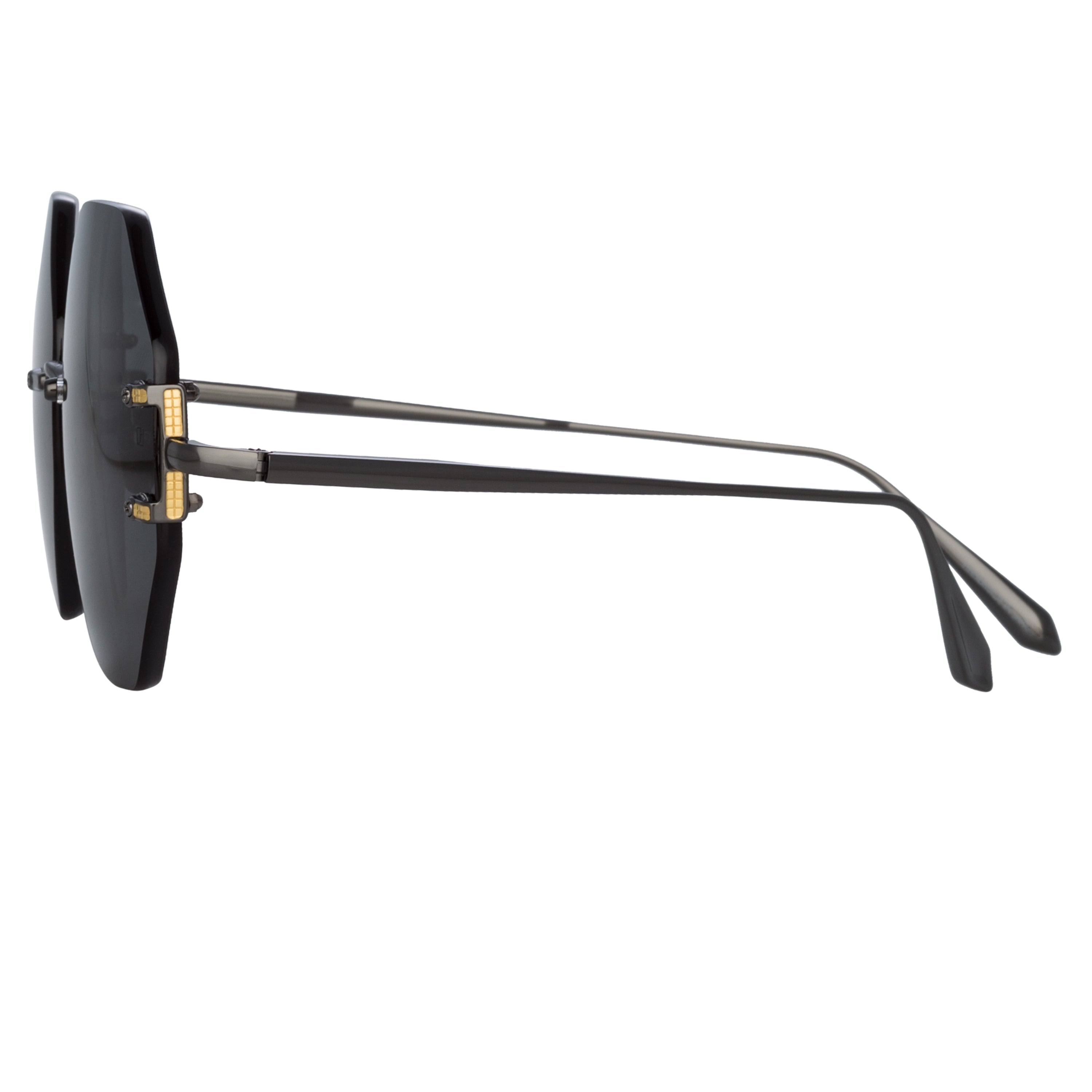 Color_LFL1267C4SUN - Arua Hexagon Sunglasses in Nickel