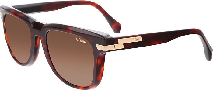 Color_002 - Havana -Gold / Brown