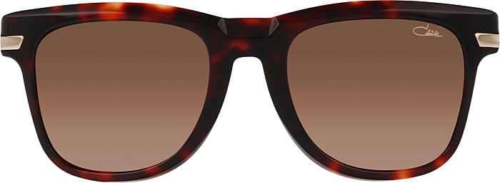 Color_002 - Havana -Gold / Brown