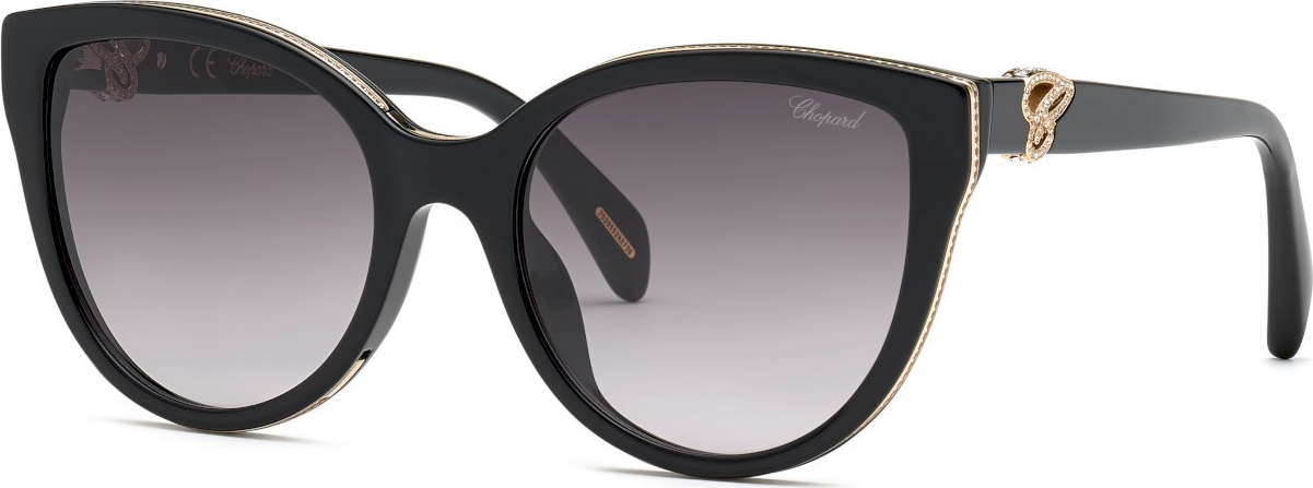 Color_0700 - Shiny Black