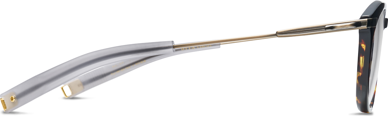 Color_DLX402-50-02 - Tortoise - Clear