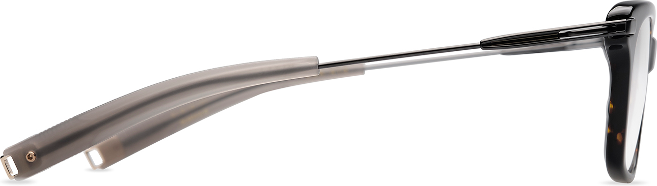 Color_DLX413-A-02 - Tortoise - Black Gun - Clear