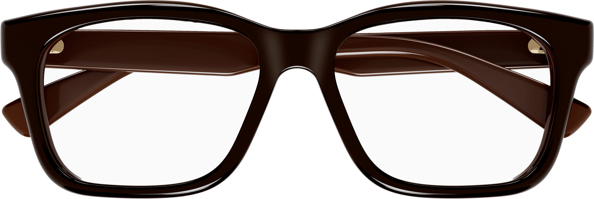 Color_GG1177OA-003 - BROWN - TRANSPARENT