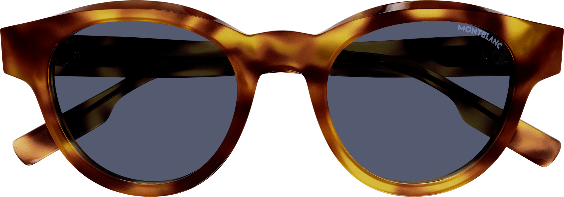 Color_MB0200S-004 - HAVANA - BLUE