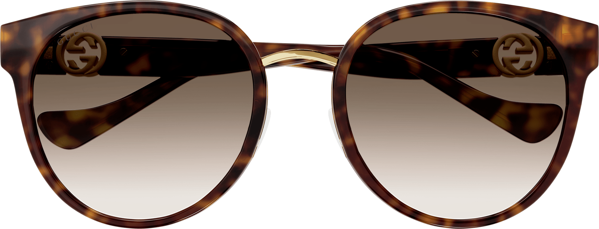 Color_GG1027SK-007 - HAVANA - BROWN - GRADIENT