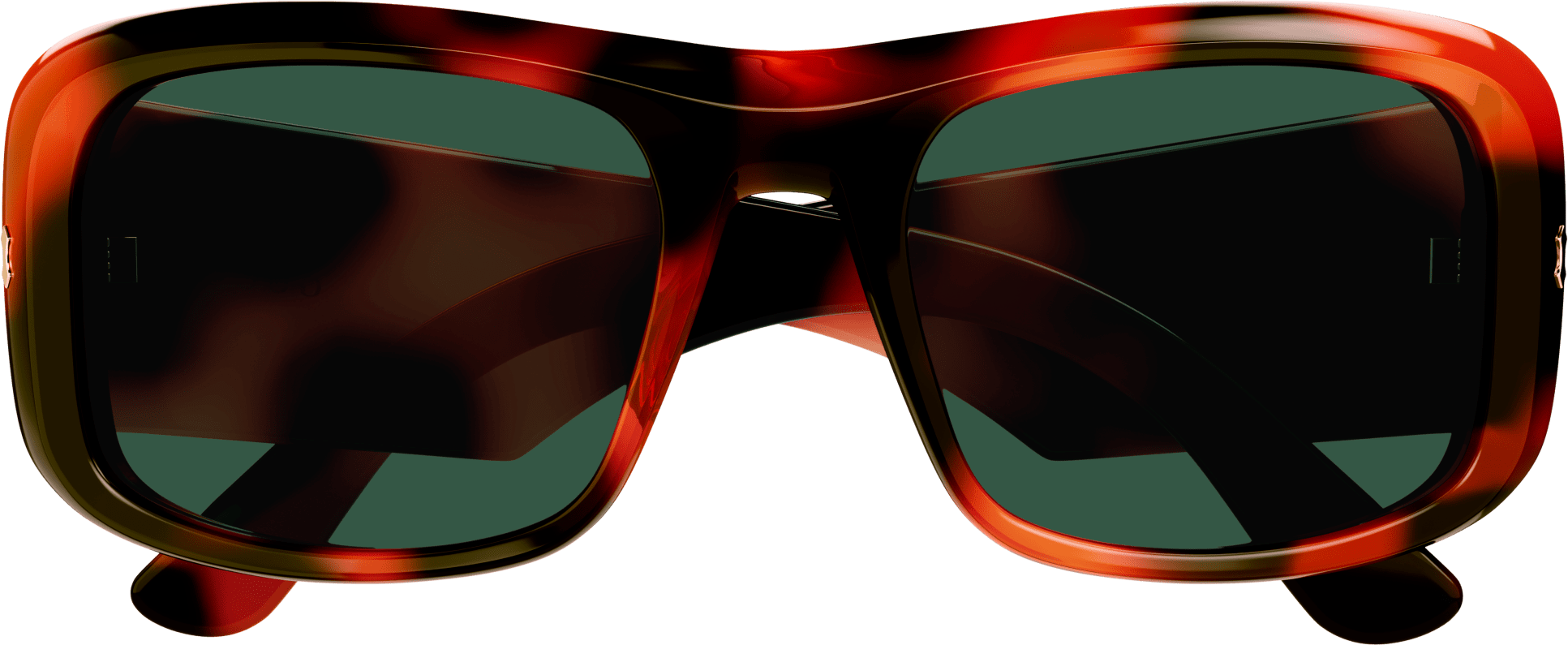 Color_GG1080S-003 - HAVANA - GREEN