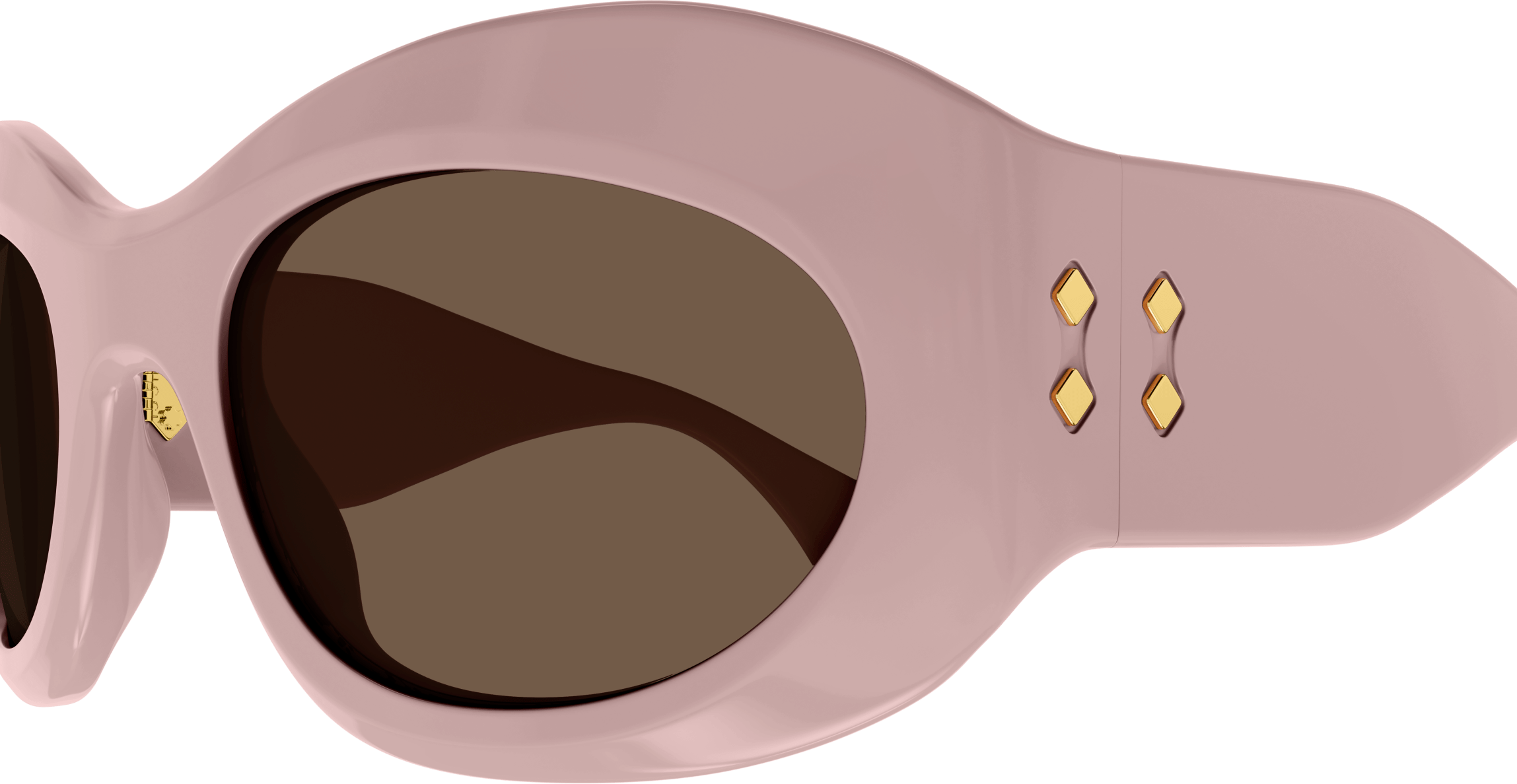 Color_GG1463S-003 - PINK - BROWN