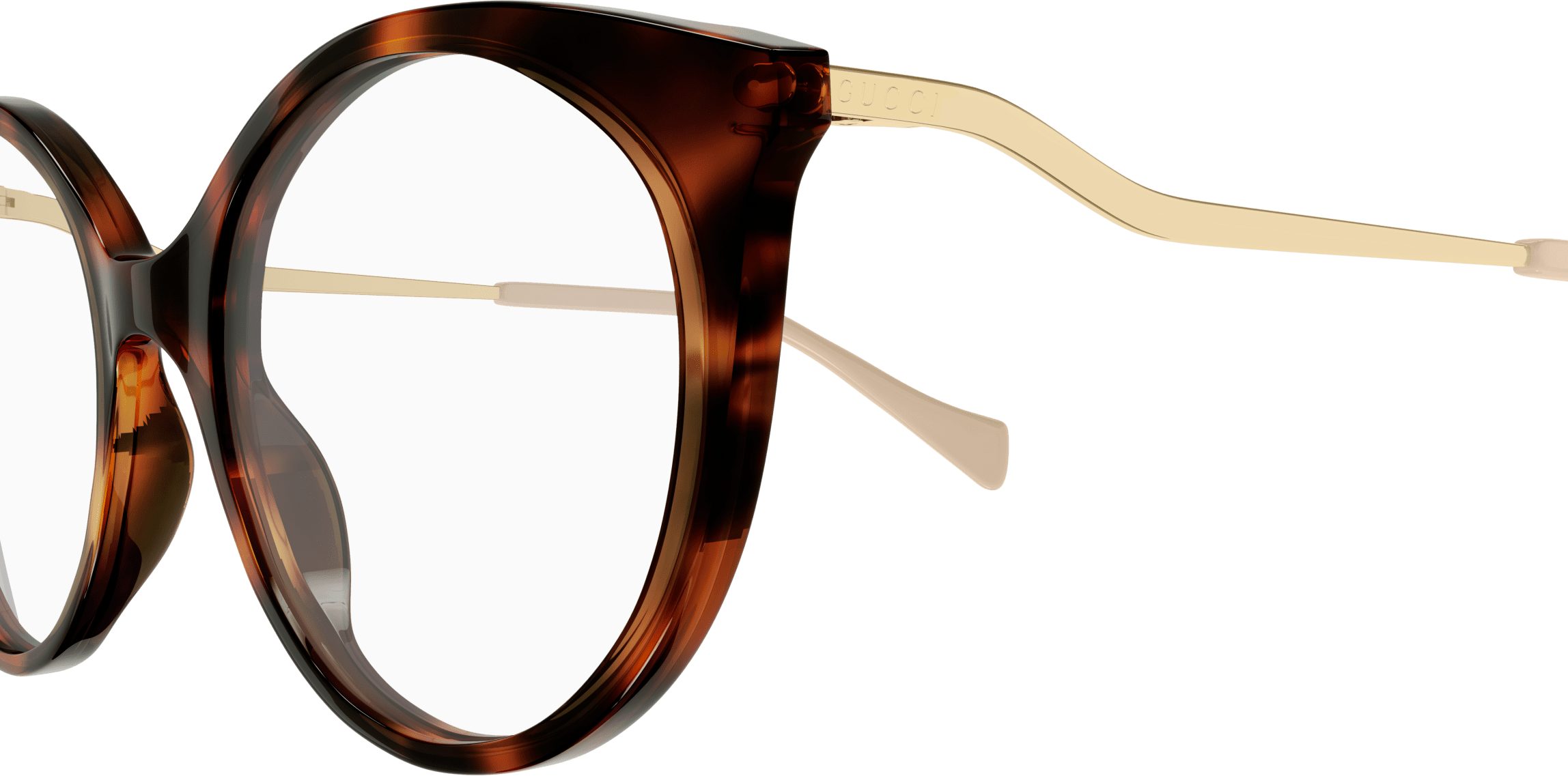 Color_Gucci Optical GG1009O