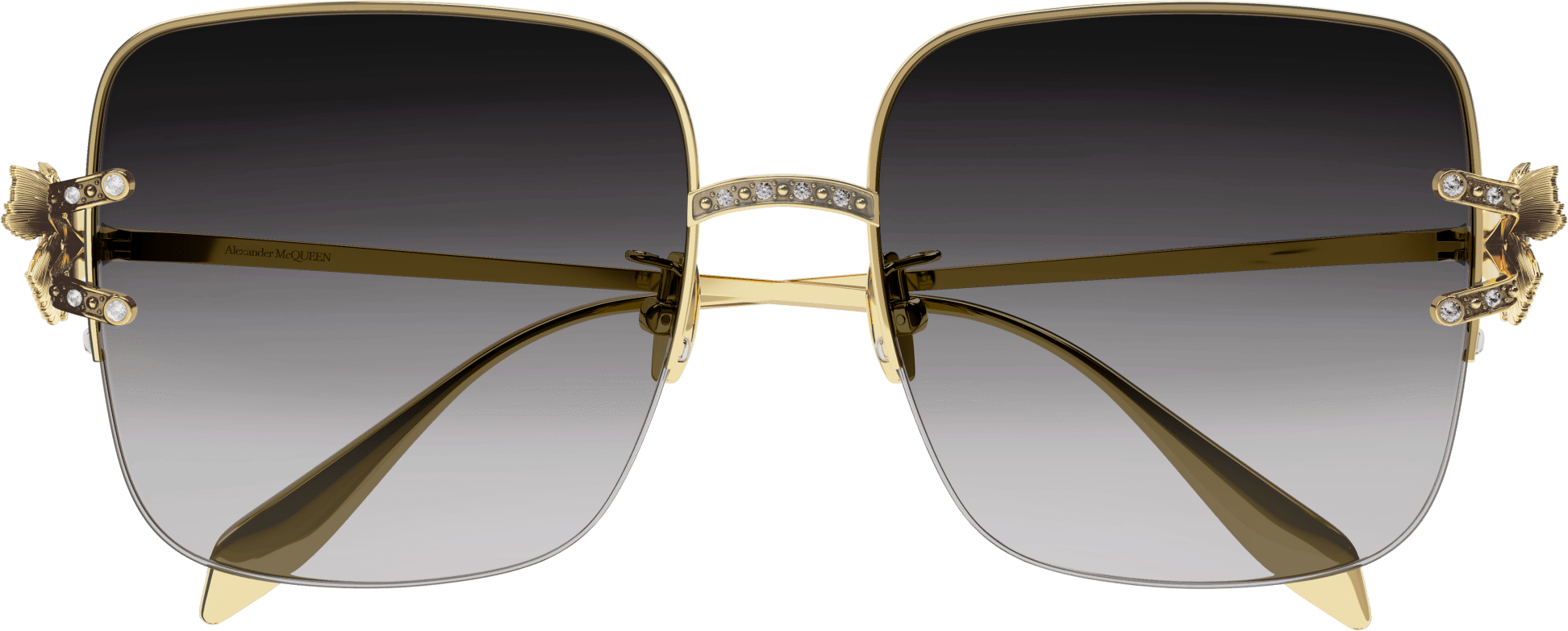 Color_Alexander McQueen AM0371S