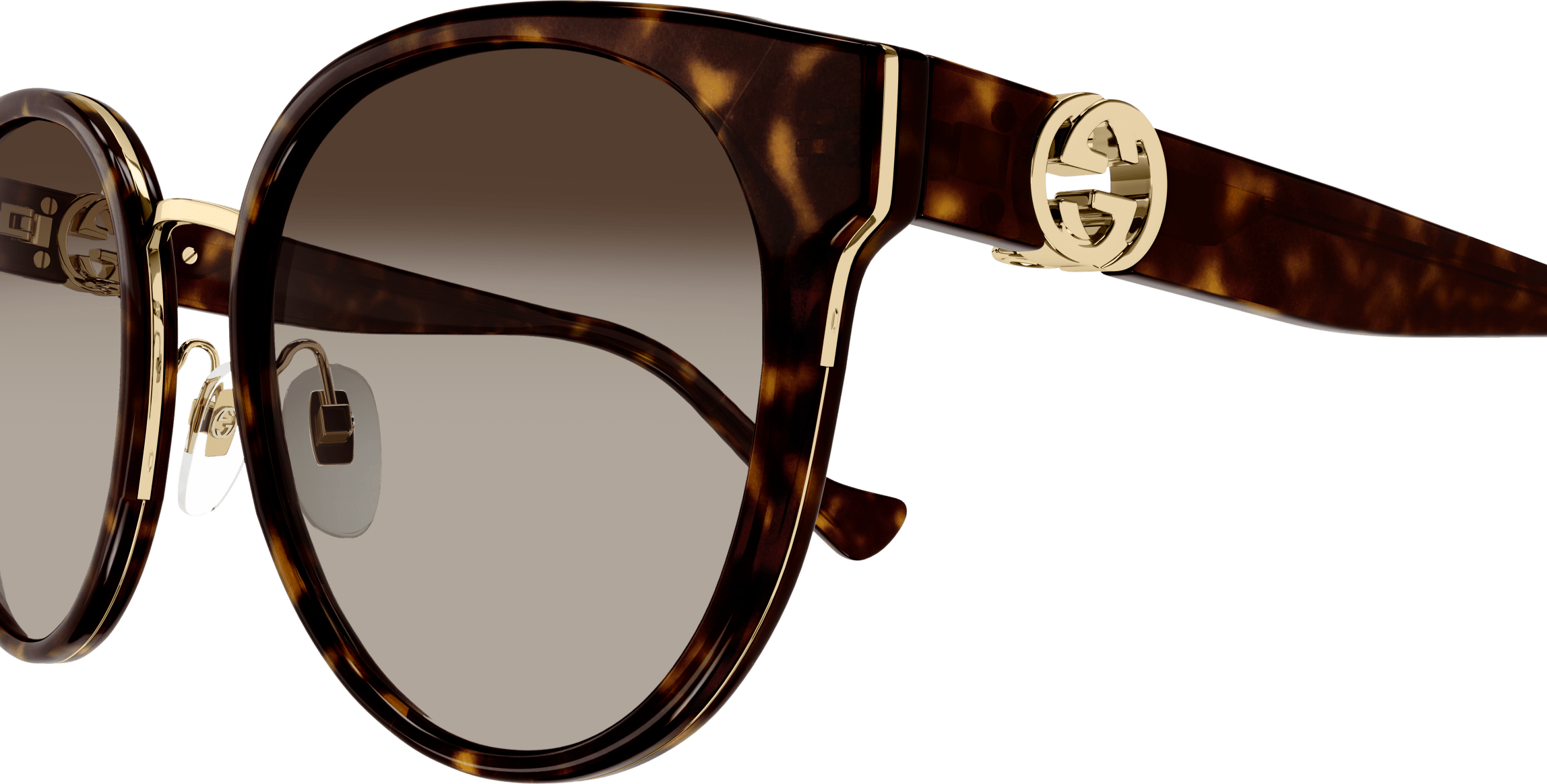 Color_GG1027SK-002 - HAVANA - BROWN - GRADIENT