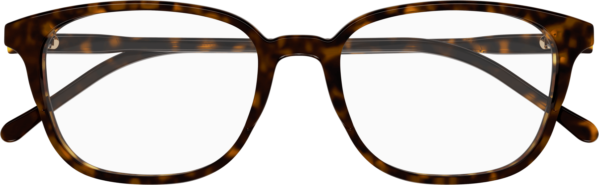 Color_GG1213O-002 - HAVANA - TRANSPARENT