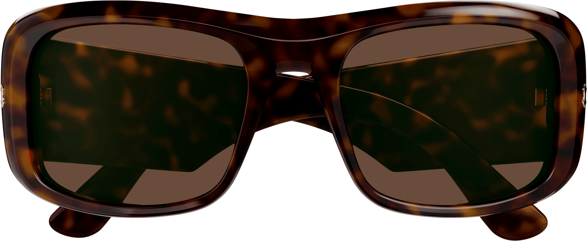 Color_GG1080S-002 - HAVANA - BROWN