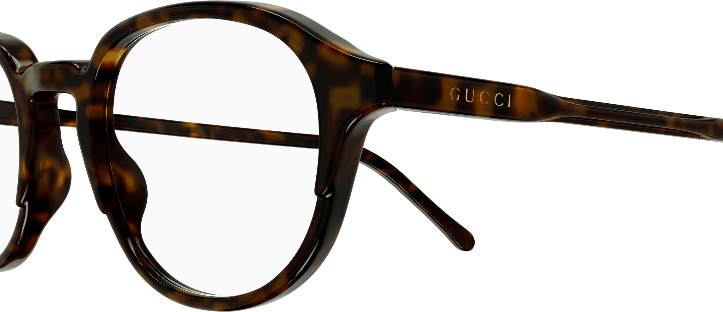 Color_GG1212OA-005 - HAVANA - TRANSPARENT