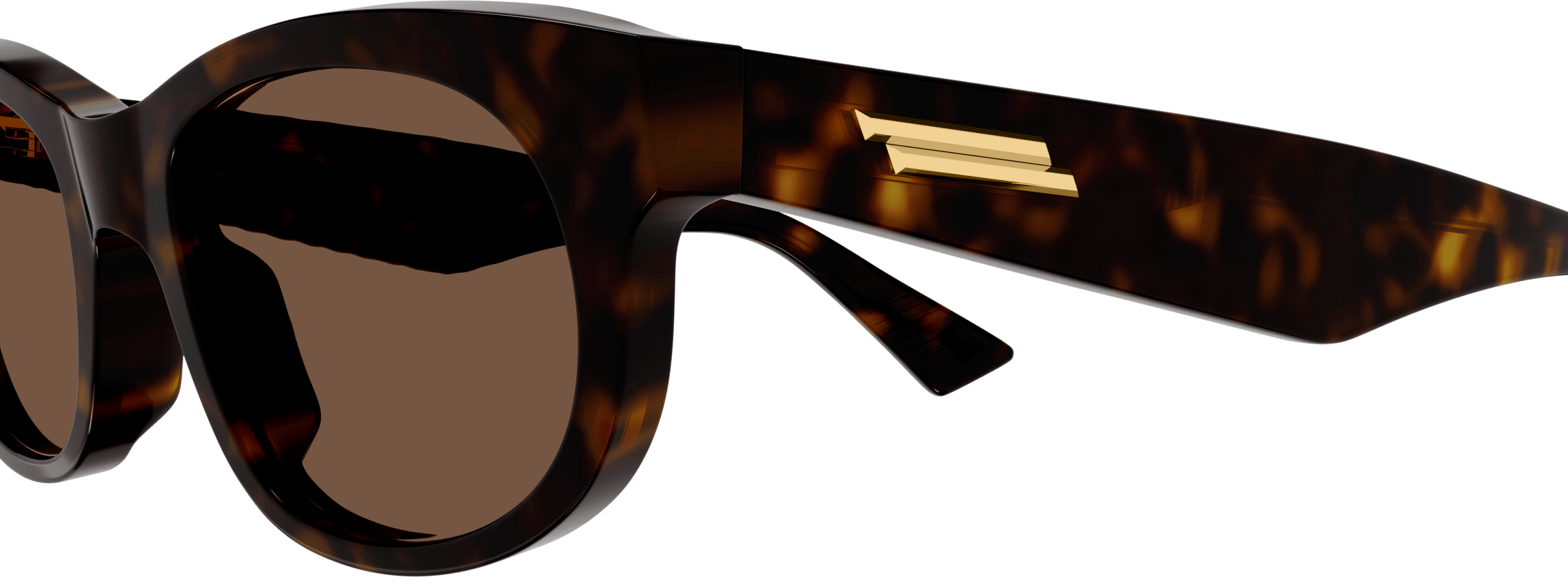 Color_BV1145S-002 - HAVANA - BROWN