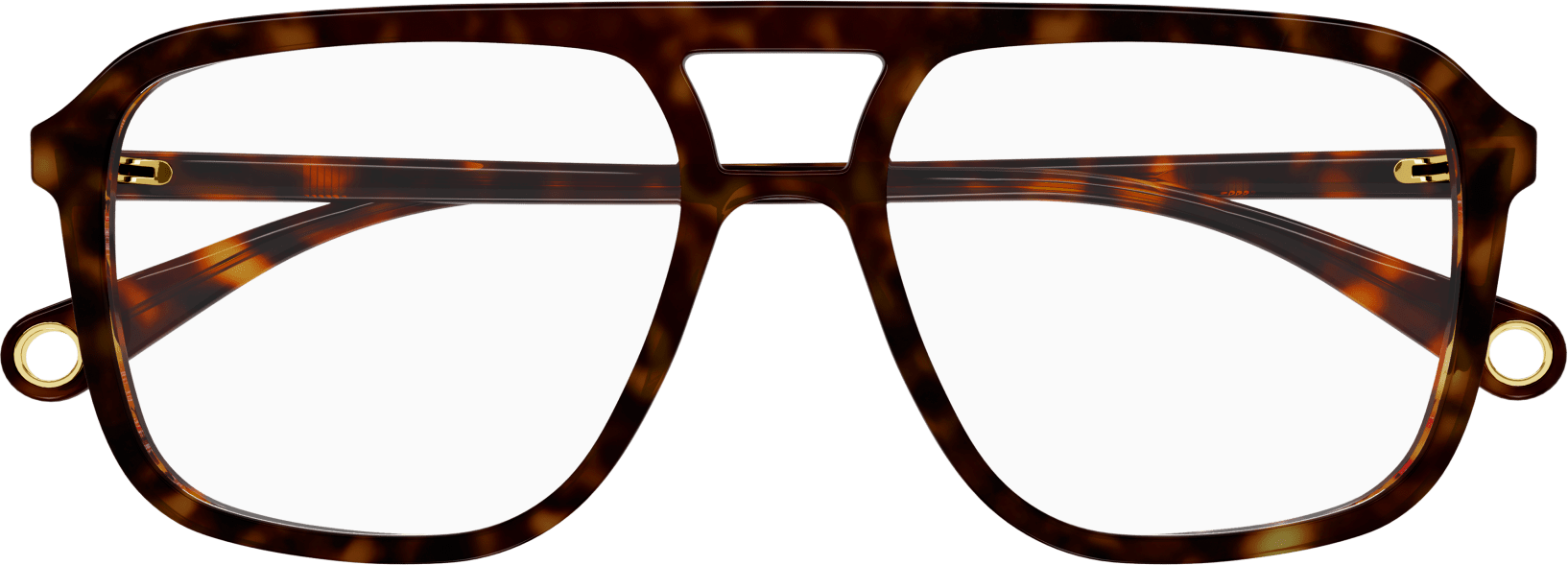 Color_GG1078O-003 - HAVANA - TRANSPARENT