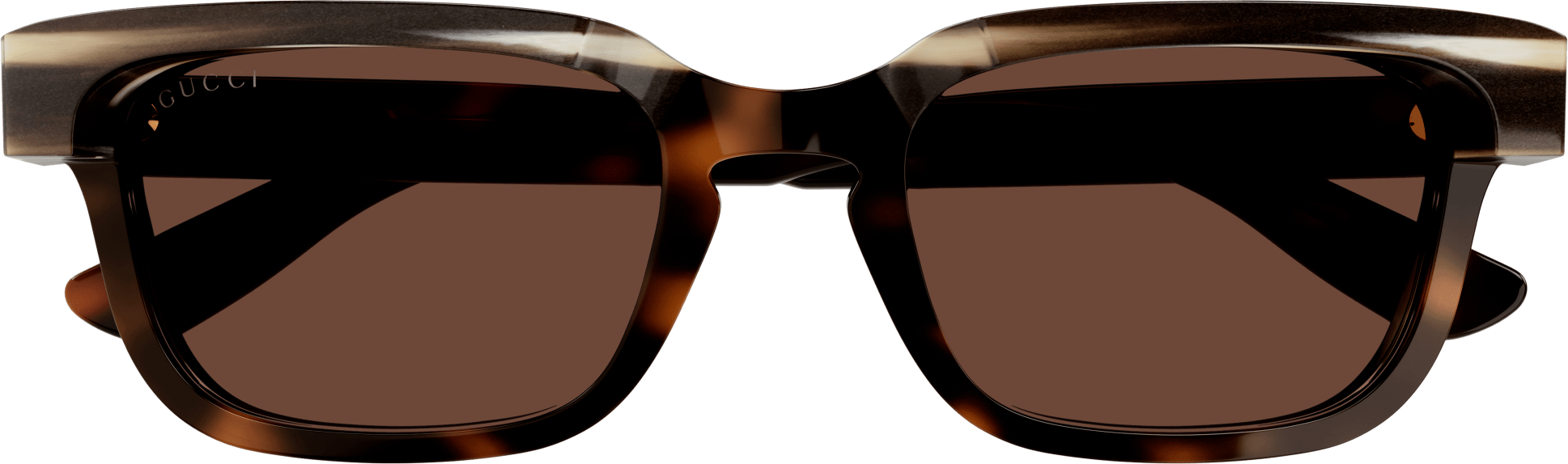 Color_GG1166S-002 - HAVANA - BROWN